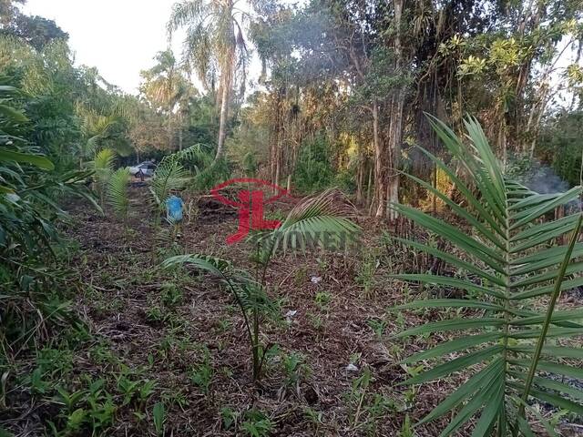 Terreno para Venda em Antonina - 4