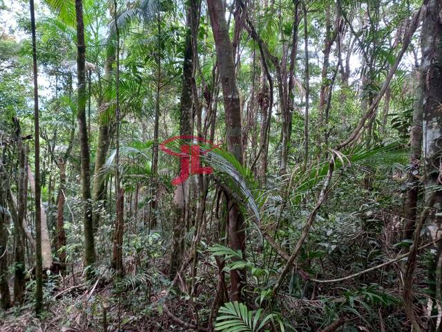 Chácara para Venda em Antonina - 2